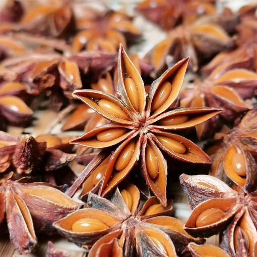 野生不提炼八角 醇香四溢  无硫/不提炼/野生/非嫁接/30年以上老树/深山八角 商品图7