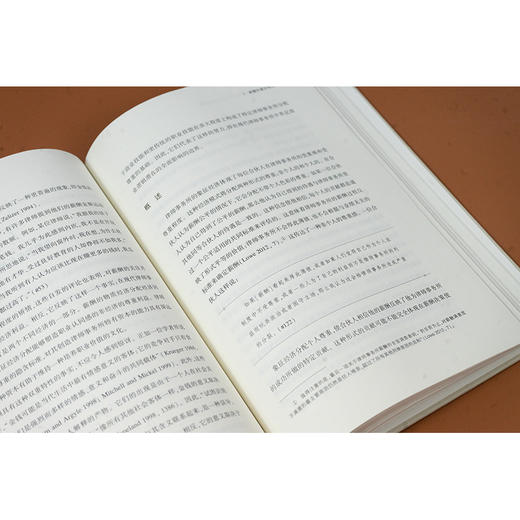 大所：现代律师事务所的商业关切和职业价值 [美]米特·里根 [美]丽莎·罗勒著  王进喜 李华译 法律出版社 商品图4