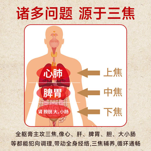 养多贝茯湿膏yabe伏湿膏调理脾胃舌苔白厚寒气重头发油痘痘 商品图2