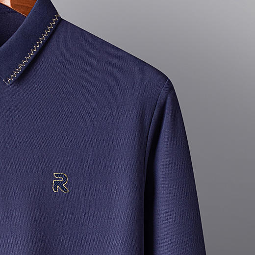 罗蒙男士春秋长袖polo衫休闲百搭t恤男商务通勤长袖上衣 商品图5