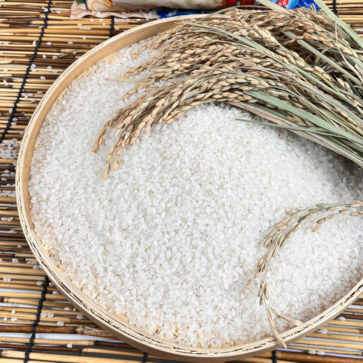 「5斤装！生态香米」东北生态米5斤五常农家大米稻香米口感劲道圆粒米24新米现磨粮油米面 商品图2