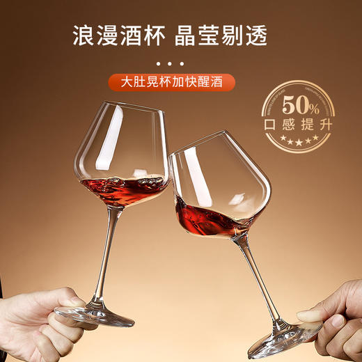红酒杯套装轻奢醒酒器高级感玻璃杯水晶杯玻璃创意高脚杯 商品图1