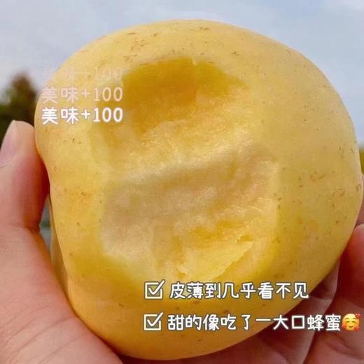 【分仓直发包邮】山东维纳斯苹果4.5-5斤中果（约13-15个）（果径70-75mm） 商品图3