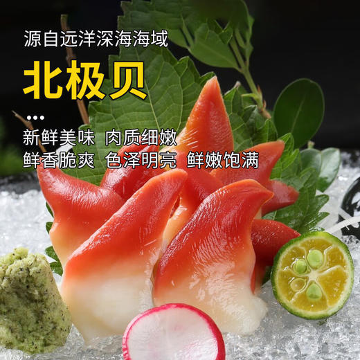 北极贝190±20g/盒~1kg 商品图0