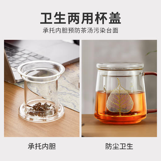 雅集玻璃杯一叶菩提杯500ml 商品图6