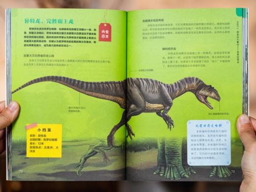 国家地理探索百科全书（全12册）| 带孩子探索宇宙到人类的所有奥秘，故事般趣味科普，1000+高清大图，拓宽眼界和认知 商品图5