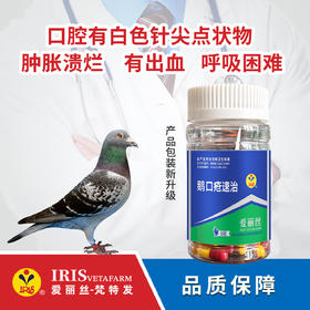 【爱丽丝】鹅口疮速治胶囊60粒/念珠菌