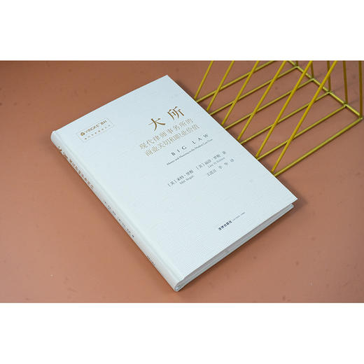 大所：现代律师事务所的商业关切和职业价值 [美]米特·里根 [美]丽莎·罗勒著  王进喜 李华译 法律出版社 商品图3