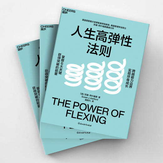 人生高弹性法则 掌握6大关键，获得突破的能量，跨越能力边界 商品图3