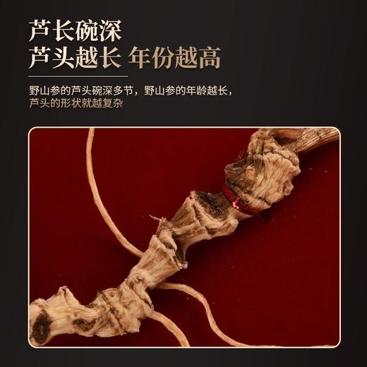 【分仓直发包邮】易天健二等野山参（整支8克/盒） 商品图1
