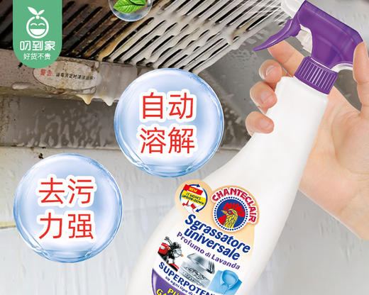 意大利大公鸡管家多能油污净（薰衣草香型）/1瓶（600ml）限用日期：30年7月 商品图1