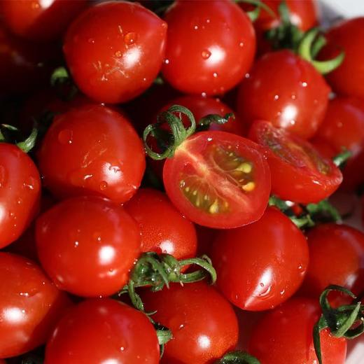 【釜山88玲珑小番茄】果皮薄脆，果肉细腻紧实，每一口都甜到心坎里 果味浓郁 一口爆汁 小番茄界的天花板 商品图2