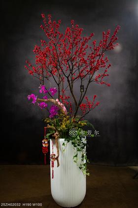 25年 年宵花 组合植物--冬青