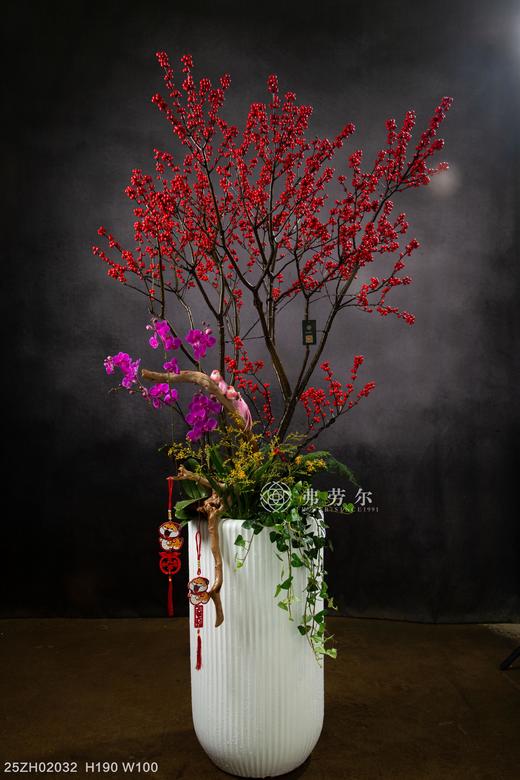 25年 年宵花 组合植物--冬青 商品图0