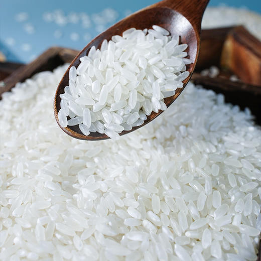 【2025年新米】特等五常大米5kg 商品图1