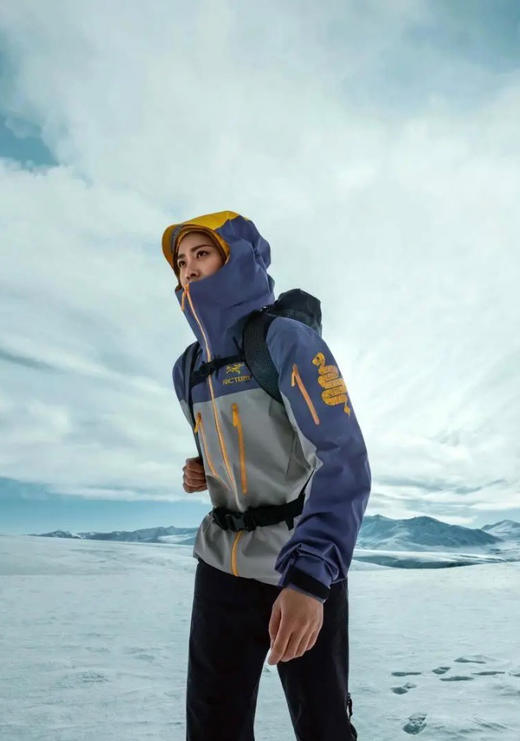 原单版本鸟家Alpha sv lny蛇年限定硬壳冲锋衣011601 商品图1