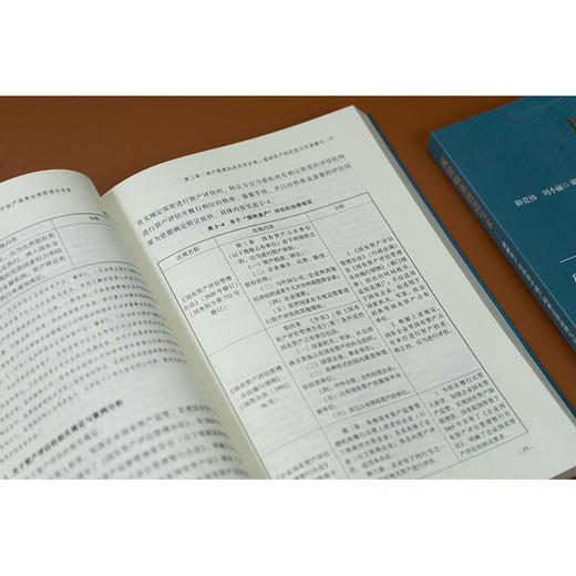 风险隔离的道与术——破解资产证券化中破产隔离法律原理与实务 路竞祎 刘小丽 法律出版社 商品图3