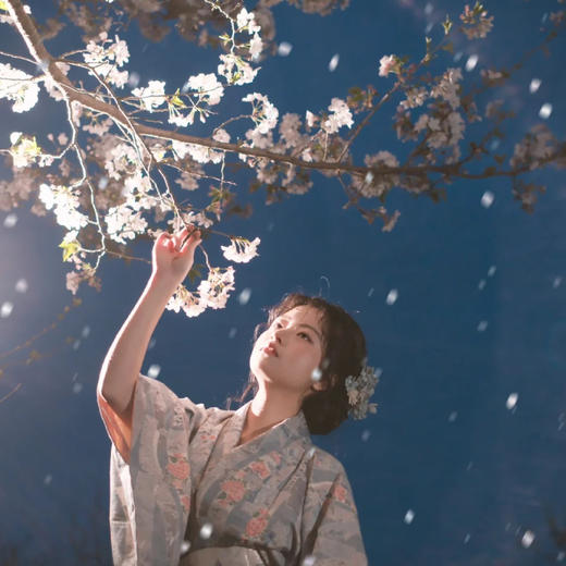 日本| 关西静谧樱境·6天5晚 商品图3