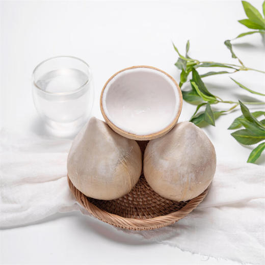 【分仓直发包邮】泰国小奶椰（泰国椰皇）6个礼盒装（中小果，单果400g左右） 商品图0