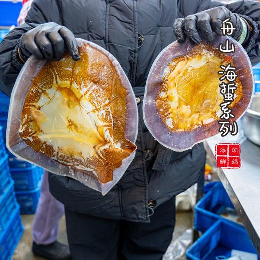 【闹妈】舟山野生海蜇皮/三道盐皮/已变干皮 2斤/3斤 爽脆无比 商品图2