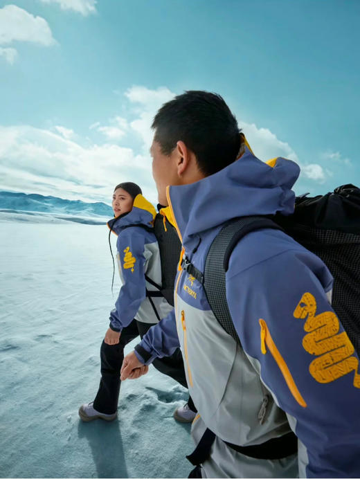 原单版本鸟家Alpha sv lny蛇年限定硬壳冲锋衣011601 商品图6