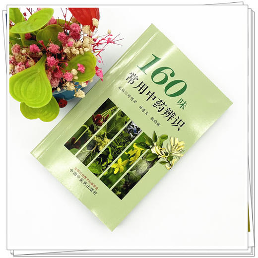 160味常用中药辨识 刘明军 张晓林 仲崇文 主编 中国中医药出版社 彩图 口袋版 书籍 商品图1