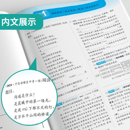 2025春 【人教版】九年级语文(下) 实验班提优训练 商品图3