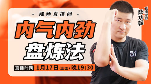 【1月17日】 内气内劲盘炼法 商品图0