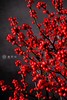 25年 年宵花 组合植物--冬青 商品缩略图1