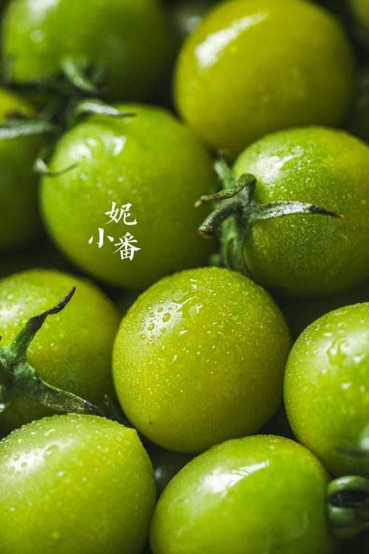 妮小番🍅青粲can豪华版 商品图2