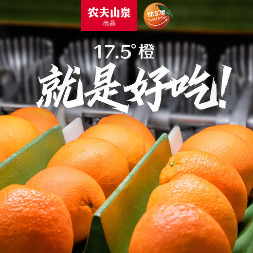 农夫山泉 17.5橙 脐橙/橙子 净重10斤装 铂金果 生鲜水果年货礼盒 商品图5