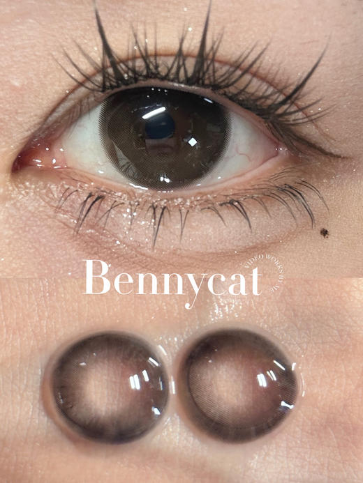 自然款推荐丨豆乳咖·Bennycat丨14.2mm（半年抛/2片装） 商品图1