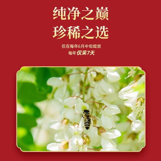 高山刺槐蜜260g/瓶*2 商品图2