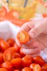 妮小番蜜橙小番茄 商品缩略图4
