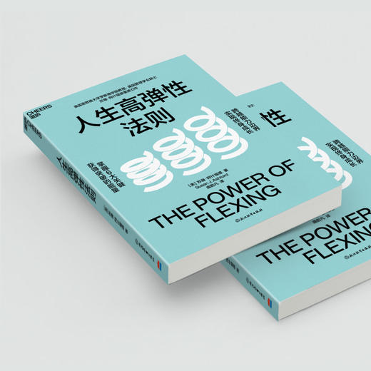 人生高弹性法则 掌握6大关键，获得突破的能量，跨越能力边界 商品图4