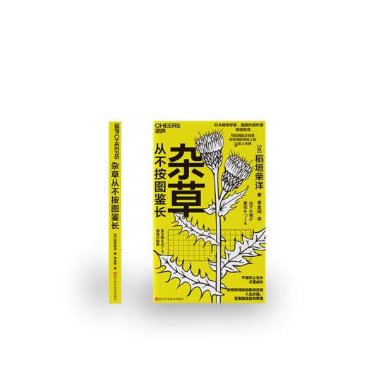 杂草从不按图鉴长 适用于男女老少、具有普遍性的生活方式指南 商品图1