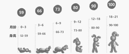 jnby   25年春款  长裤   YP1E11460 商品图3
