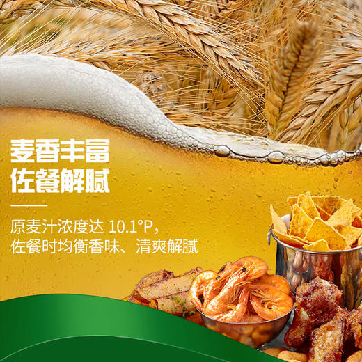 【嘉士伯秒杀日】嘉士伯醇滑500ml*12罐装 商品图3