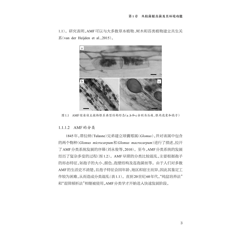 试读PDF-9787308257565(1-1)-有机污染土壤中丛枝菌根真菌环境效应_015.jpg