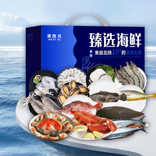 诺西贝海鲜-2198型【HSCJ20.0】 商品图1