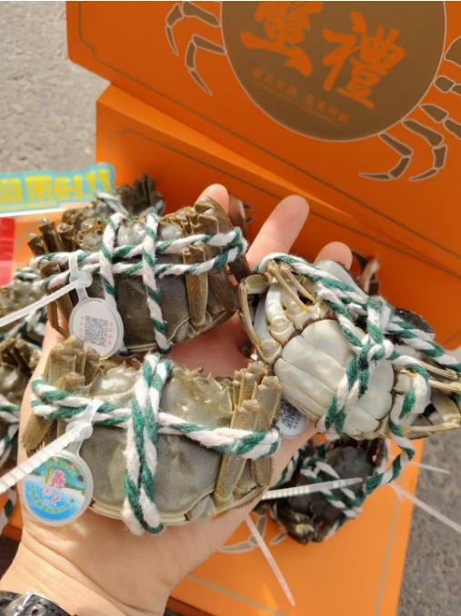 黄箱江苏大闸蟹礼盒 商品图5