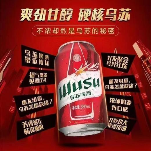 乌苏330ml*24瓶啤酒六联包（箱） 商品图2