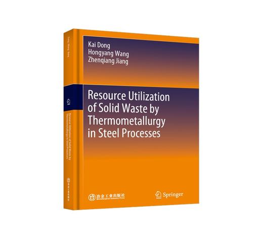 Resource Utilization of Solid Waste by Thermometallurgy in Steel Processes/Dong Kai 商品图0
