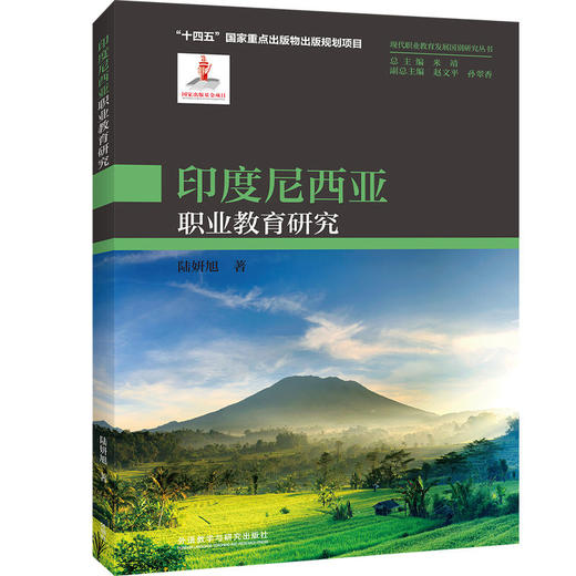 印度尼西亚职业教育研究 商品图0