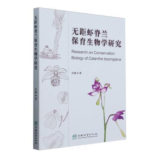 无距虾脊兰保育生物学研究 &2868 商品图0