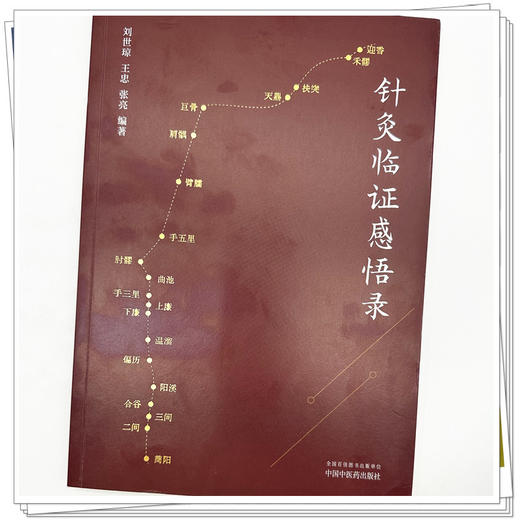 针灸临证感悟录 刘世琼 王忠 张亮 编著 中国中医药出版社 针灸 临床 书籍 商品图3