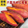 【分仓直发包邮】六鳌地瓜5斤（中小果，单果50-150g） 商品缩略图0