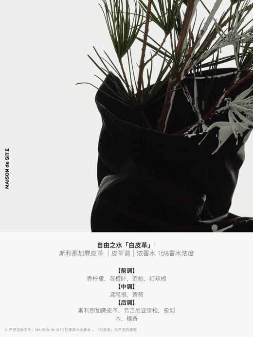 MAISON de SIT.E 无花香调 沙龙香水【白皮革】 商品图3