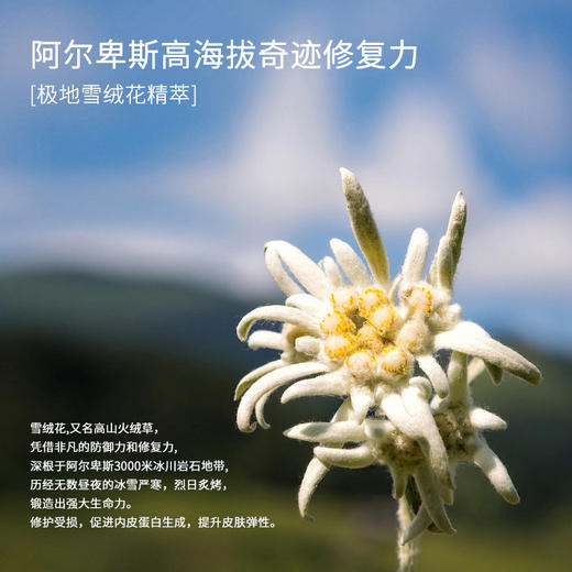 【中欧班列精选】美颜美雪绒花补水去角质足膜 30g*3双/盒 商品图1