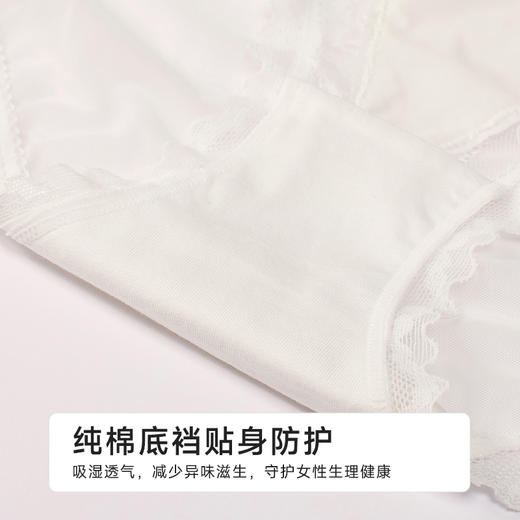 都市丽人蕾丝网布系列蕾丝薄透丝滑平角裤LKH5I7 商品图7